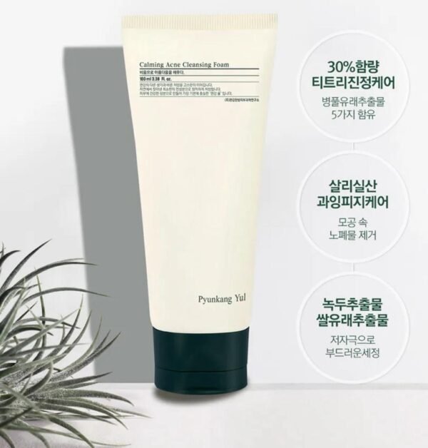 Pyunkang Yul acne foam cleanser tube